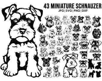 43 Miniature Schnauzers dog svg bundle| svg, Cricut| Peeking dog clipart| Vector Image DXF Download| printable| png| full body ears