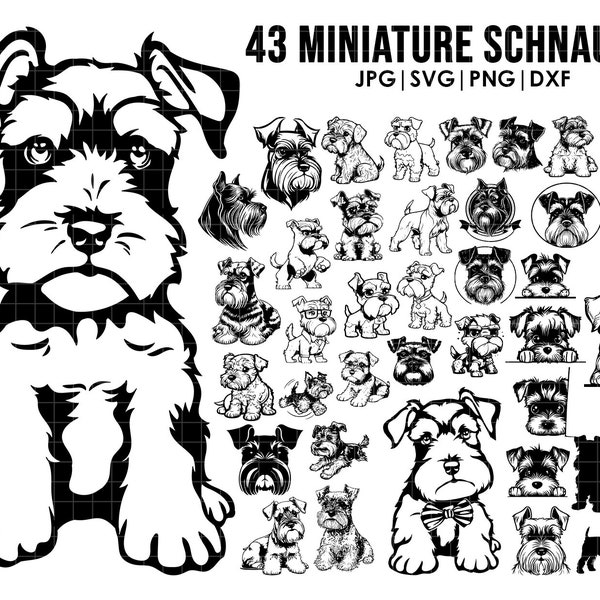 43 Miniature Schnauzers dog svg bundle| svg, Cricut| Peeking dog clipart| Vector Image DXF Download| printable| png| full body ears