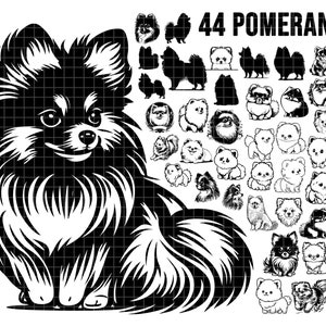 44 - Pomeranian dog SVG mega bundle drawing ear,full body, peeking, SILHOUETTE, head clipart Outline sketch Cricut laser cutting playful dog