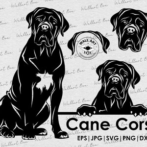 Peut inclure: Illustration en silhouette noire et blanche d'un Cane Corso dans trois poses diff&eacute;rentes. Le texte "Cane Corso" et "EPS | JPG | SVG | PNG | DXF" est situ&eacute; sous les images.