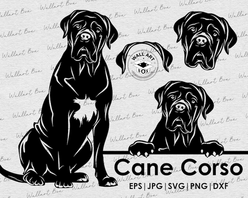 Peut inclure: Illustration en silhouette noire et blanche d'un Cane Corso dans trois poses diff&eacute;rentes. Le texte "Cane Corso" et "EPS | JPG | SVG | PNG | DXF" est situ&eacute; sous les images.