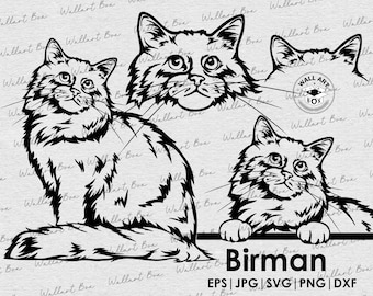 Birman svg| Cat svg files for Cricut| Peeking dog clipart| Vector Image DXF Download| printable art| png| full body face ears| digital