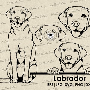 Labrador svg| dog full body peeking head ears files Cricut| Clipart| Vector|  PNG| dxf| printable| Cricut, Silhouette| Commercial License
