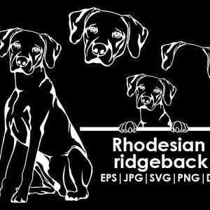 Könnte beinhalten: Schwarz-weiße Silhouette eines Rhodesian Ridgeback Hundes in verschiedenen Posen. Der Text "Rhodesian Ridgeback" ist in Weiß unter den Bildern geschrieben. Der Text "EPS | JPG | SVG | PNG | DXF" ist in Weiß unter dem Text "Rhodesian Ridgeback" geschrieben.