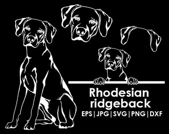 Rhodesian ridgeback Dog Head, Full body, Peeking, Dog Ear, files Cricut| Clipart| Vector| PNG| dxf | printable| Cricut, Silhouette, svg