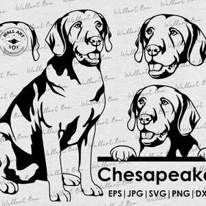 Chesapeake Bay Retriever Dog SVG Cricut| Chesapeake Clipart| Vector ...