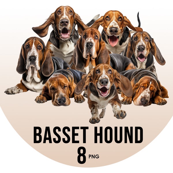 Basset Hound Dog Breeds clipart Bundle, Dog Sublimation Designs, Dog Breeds PNG, Cute Dogs Digital Illustration, Dog Portrait Prints, Images