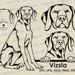 Vizsla perro svg / perro de cuerpo completo mirando las orejas de la cabeza archivos para Cricut / Clipart / Vector / PNG / dxf / imprimible / Cricut, Silueta / Comercial