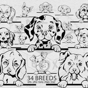 33 mignon peeking Puppy Breed bundle dessin SVG, Png, jpg Bundle, Chien furtivement espiègle, Découpe laser Cricut, Tatouage, t-shirt, mug, Vecteur