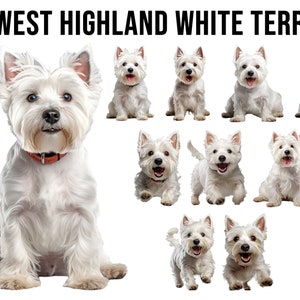 West Highland White Terrier Rasy psów clipart Bundle, Wzory sublimacji psów, Rasy psów PNG, Cyfrowa ilustracja słodkich psów, Portret psa