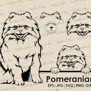 Pomeranian dog svg| dog full body peeking head ears files Cricut| Clipart| Vector|  PNG| dxf| printable| Cricut, Silhouette| Commercial