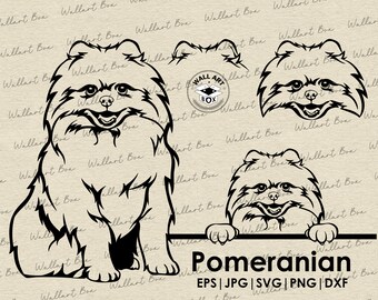 Pomeranian dog svg| dog full body peeking head ears files Cricut| Clipart| Vector|  PNG| dxf| printable| Cricut, Silhouette| Commercial