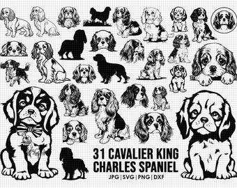 31 Cavalier King Charles Spaniels svg bundle| svg, Cricut| Peeking dog clipart| Vector Image DXF Download| printable| png| full body ears