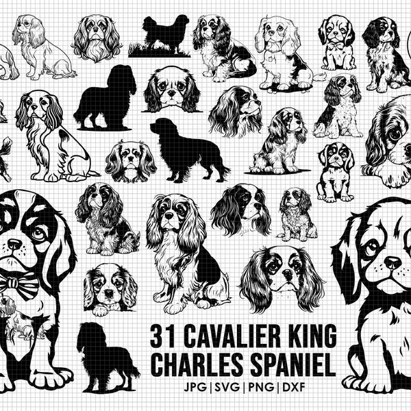 31 Cavalier King Charles Spaniels svg Bundle| svg, Cricut| Spähender Hund Clipart | Vektor Bild DXF Download | druckbar| png| Ganzkörper Ohren