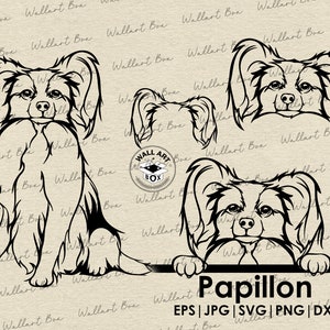 Papillon Dog SVG Cricut/ Puppy Clipart/ Vector Image DXF Download/ printable art/ png/ Logo/ body peeking/ shirt/ Dog Svg/ Pet svg