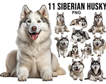 Siberian Husky Dog Breeds clipart Bundle, Dog Sublimation Designs, Dog Breeds PNG, Cute Dogs Digital Illustration, Dog Portrait Prints