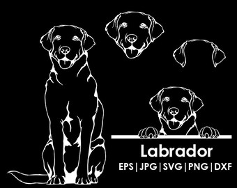 Labrador Dog Head, Full body, Peeking, Dog Ear, files Cricut| Clipart| Vector| PNG| dxf | printable| Cricut, Silhouette, svg