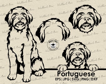 Portugiesischer Wasserhund SVG Cricut| Niedliche Cliparts| Vektor Bild DXF Download | druckbare Kunst| png| Logo| Körperpeeling| Shirt| Hund | Haustier svg