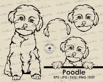 Poodle dog svg| dog full body peeking head ears files for Cricut| Clipart| Vector|  PNG| dxf| printable| Cricut, Silhouette| Commercial