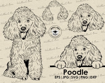 Poodle Handdrawn svg| Dog svg files for Cricut| Peeking dog clipart| Vector Image DXF Download| printable art| png| full body face ears