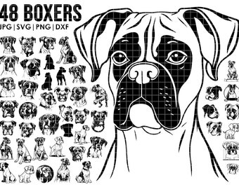 May include: A black and white digital illustration of 48 boxer dogs in various poses. The image includes the text "48 BOXERS JPG | SVG | PNG | DXF".