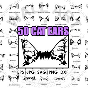 50 dessin de méga bundle de chat d'oreille de race | clipart, SVG, Png, eps, dxf, jpg | Compatible avec Cricut et Silhouette | t-shirt de tatouage de découpe au laser