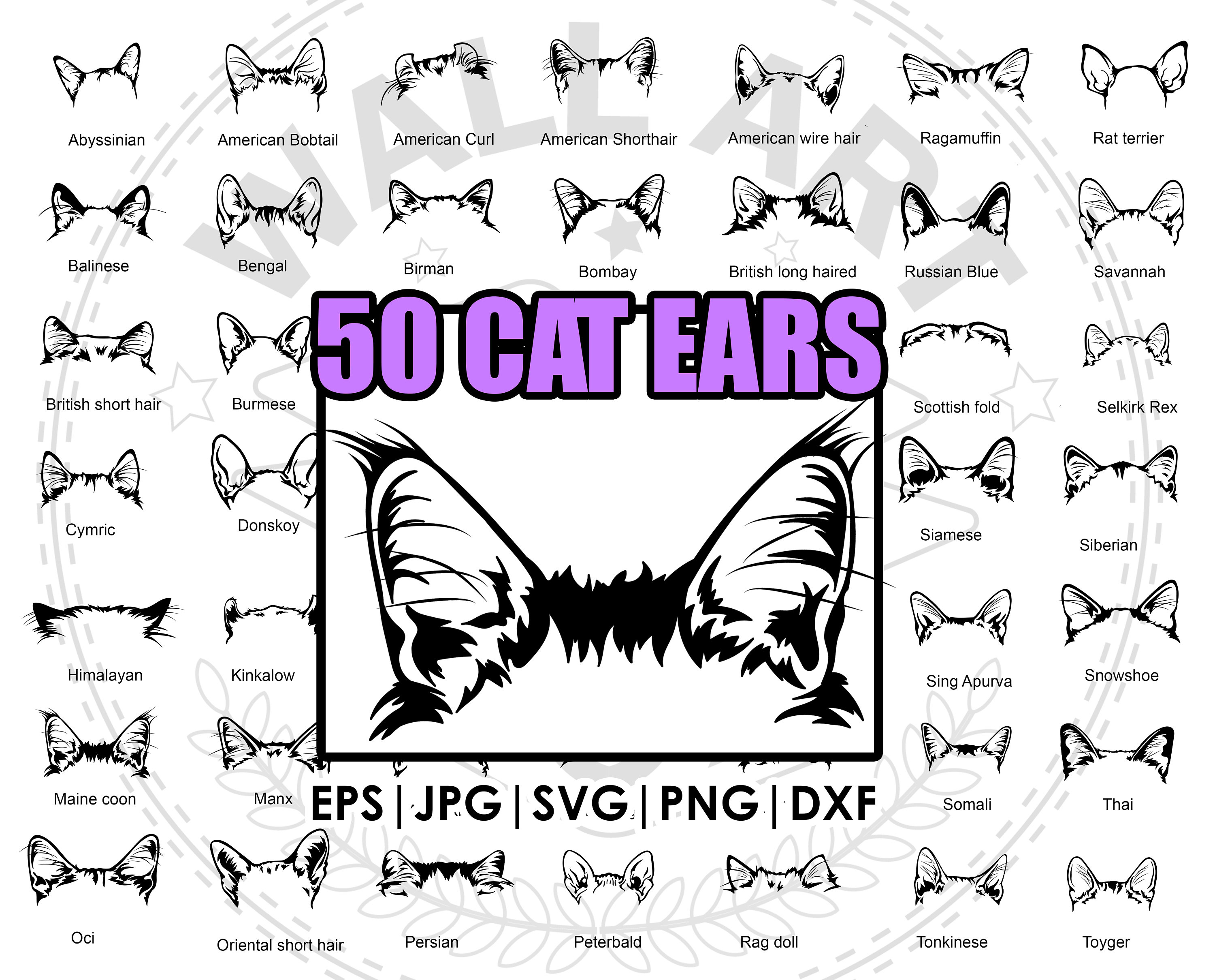 50 breed ear cat mega bundle drawing | clipart, SVG, Png, eps, dxf, jpg| Compatible with Cricut and Silhouette| laser cutting Tattoo tshirt