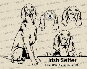 Pode incluir: Ilustração em silhueta preto e branco de um cão setter irlandês em três poses diferentes. O cão está sentado, em pé e olhando por cima de uma superfície. O texto "Irish Setter" está abaixo da imagem, e o texto "EPS | JPG | SVG | PNG | DXF" está abaixo disso.
