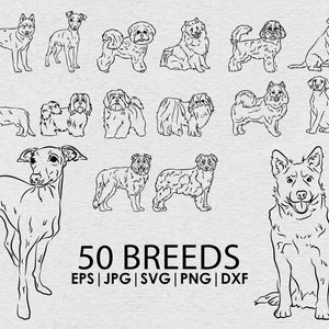 Hondenras bundel tekening SVG, Png, eps, dxf, jpg bundel, speelse fullbody hond, Cricut lasersnijden, Tattoo, t-shirt, mok, Vector-bestanden.