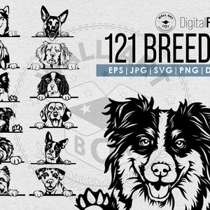 Mega Bundle de chien furtif de race 121 dessin | clipart, SVG, Png, eps, dxf, fichier jpg | Contour de chien furtif ludique | Découpe de vecteur Cricut Cut