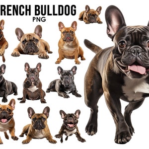 Französische Bulldogge Hunderassen Clipart Bundle, Hundesublimations-Designs, Hunderassen PNG, süße Hunde digitale Illustration, Hundeporträtdrucke