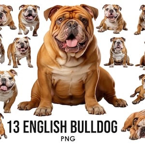 Englisch Bulldogge Hunderassen Clipart Bundle, Hundesublimations-Designs, Hunderassen PNG, süße Hunde digitale Illustration, Hundeporträtdrucke