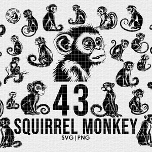 May include: A collection of 43 black and white squirrel monkey illustrations. The monkeys are in various poses, including sitting, standing, and climbing. The illustrations are perfect for use in crafts, scrapbooking, and other creative projects.