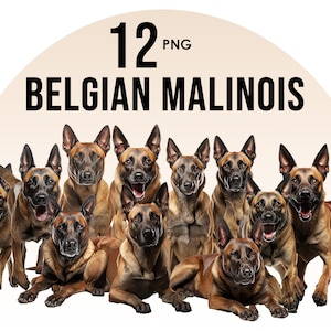 Belgische Malinois-Hunderassen Clipart-Bundle, Hundesublimations-Designs, Hunderassen PNG, süße Hunde digitale Illustration, Hundeporträtdrucke