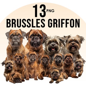 Pacchetto clipart di razze di cani Brussles Griff, disegni di sublimazione di cani, razze di cani PNG, illustrazione digitale di cani carini, stampe di ritratti di cani