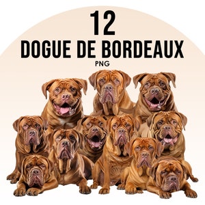 Dogue De Bordeaux hondenrassen clipart bundel, hond sublimatie ontwerpen, hondenrassen PNG, schattige honden digitale afbeelding, hond portret prints