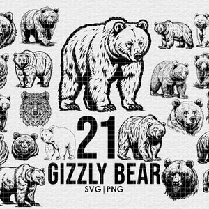 Puede incluir: Una descarga digital de 21 ilustraciones de osos grizzly en blanco y negro. Los osos están dibujados en un estilo vintage y son perfectos para usar en manualidades, scrapbooking y otros proyectos creativos. El texto "21 Grizzly Bear SVG | PNG" está incluido en la imagen.