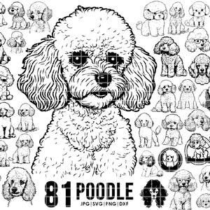 81 poodle dog svg bundle | Cricut | Peeking dog clipart | Vector Image DXF Download | printable | png | full body ears