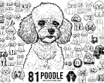 81 poodle dog svg bundle | Cricut | Peeking dog clipart | Vector Image DXF Download | printable | png | full body ears