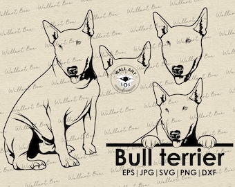 Può includere: Illustrazione in silhouette in bianco e nero di un Bull Terrier. Il cane è mostrato in tre pose diverse. Il testo "Bull terrier" è scritto sotto l'immagine. Il testo "EPS | JPG | SVG | PNG | DXF" è scritto sotto il nome del cane.