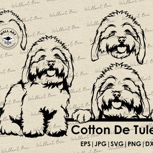 Cotton de tulear svg cut file dog peeking pour Cricut| Cairn terrier full body head ear portrait vector graphic art artwork png digital design