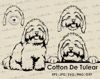 Cotton de tulear svg cut file dog peeking for Cricut|Cairn terrier full body head ear portrait vector graphic art artwork png digital design