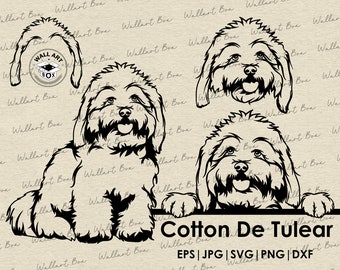 May include: Black and white silhouette illustration of a Cotton de Tulear dog in three different poses. The dog is sitting, standing, and looking over a sign that reads "Cotton De Tulear EPS | JPG | SVG | PNG | DXF".