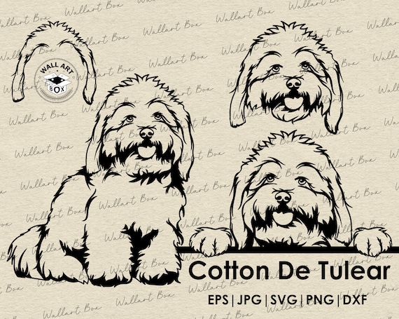 Coton de Tulear Phone Case Wallet Coton de Tulear Phone Case Wallet