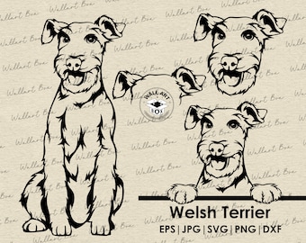 Welsh terrier Dog svg| Cute Dog svg files for Cricut| Peeking dog clipart| Vector Image DXF Download| printable art| png| Logo| body peeking
