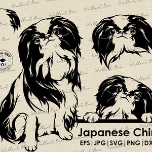 Japanisches Kinn Svg Plotterdatei Für Cricut| Japanisches Kinn Ganzkörper Kopf Ohr Portrait Vektor grafik kunst kunstwerk png digital design
