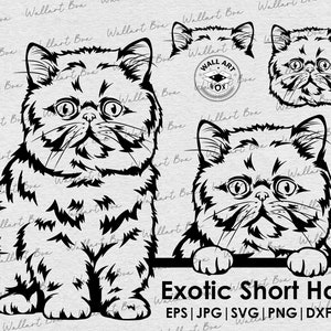 Exotic Short Hair Cat svg| cat full body peeking head ears files Cricut| Clipart| Vector|  PNG| dxf| printable| Cricut, Silhouette| vector
