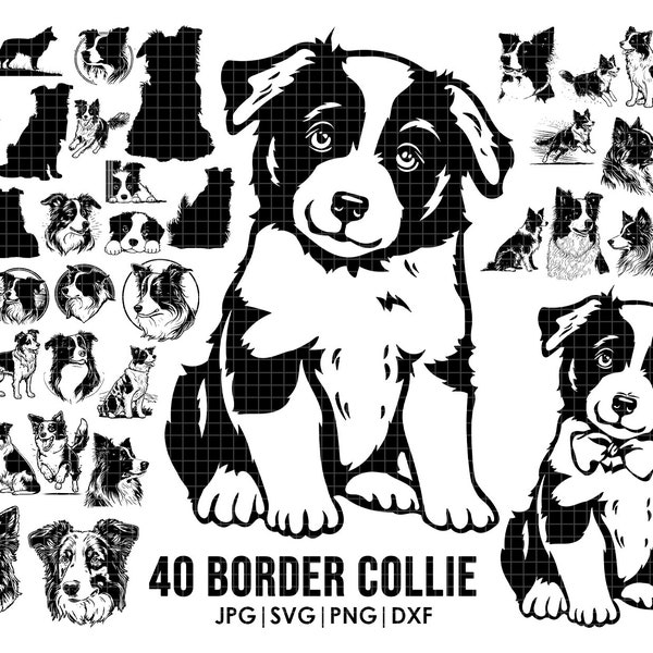 Border Collie SVG mega bundle drawing, full body, peeking, SILHOUETTE, head clipart Outline sketch Cricut laser cutting playful dog, logo