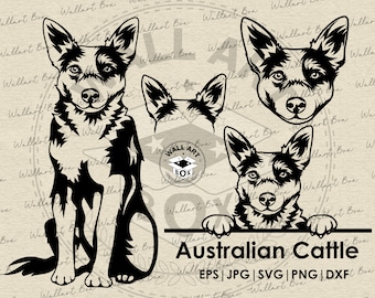 Australian Cattle Dog SVG Cricut| Cute Puppy Clipart| Vector Image DXF Download| printable art| png| Logo| body peeking| shirt| Dog Svg| Pet
