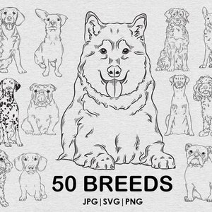 50 race Dog mega bundle dessin SVG, Png, jpg Bundle, Chien plein corps ludique, Découpe laser Cricut, Tatouage, t-shirt, mug, Graphique vectoriel